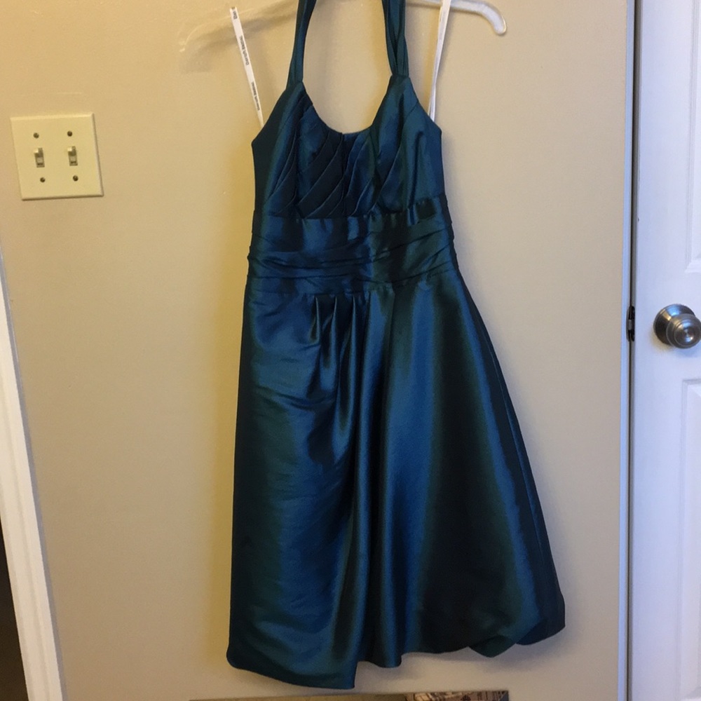 Davids Bridal prom/bridesmaid dress